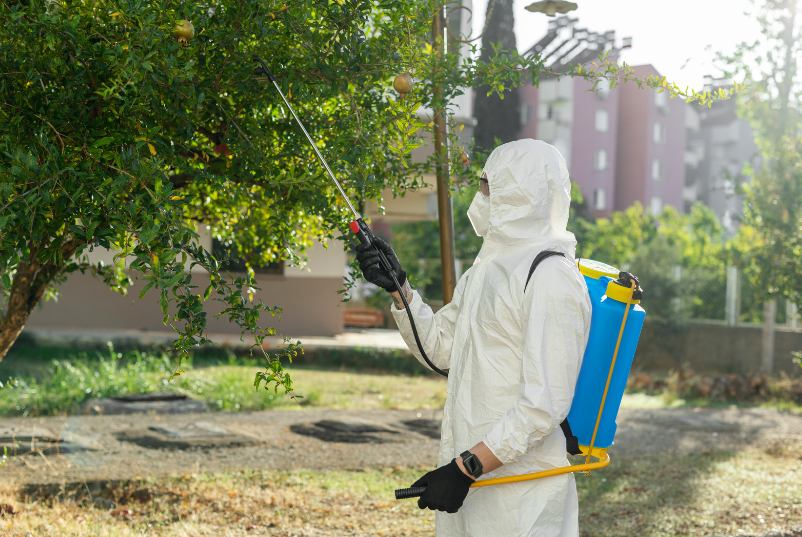 Fumigación en Santiago